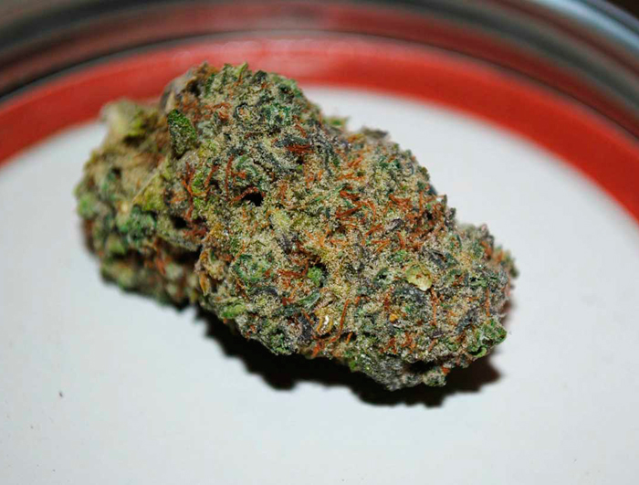 Яркий пример плотной шишки каннабиса Яркий пример плотной шишки каннабиса