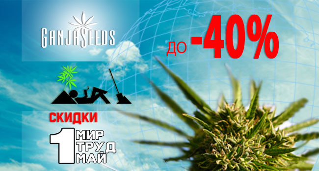 скидки на семена конопли скидки на семена конопли