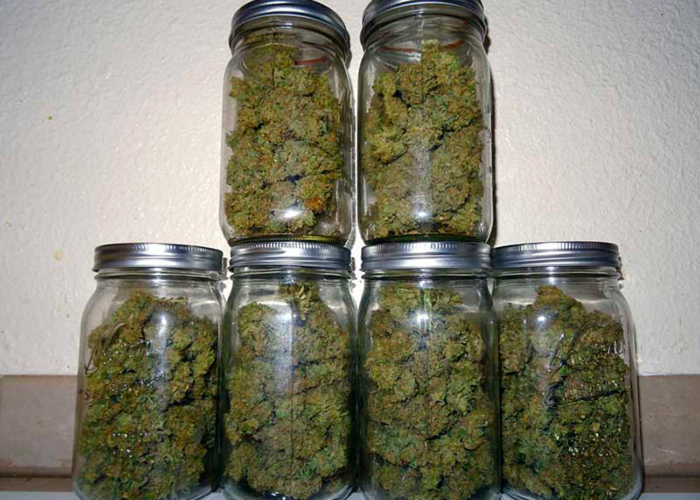 Высушите и пролечите ваши шишки Высушите и пролечите ваши шишки