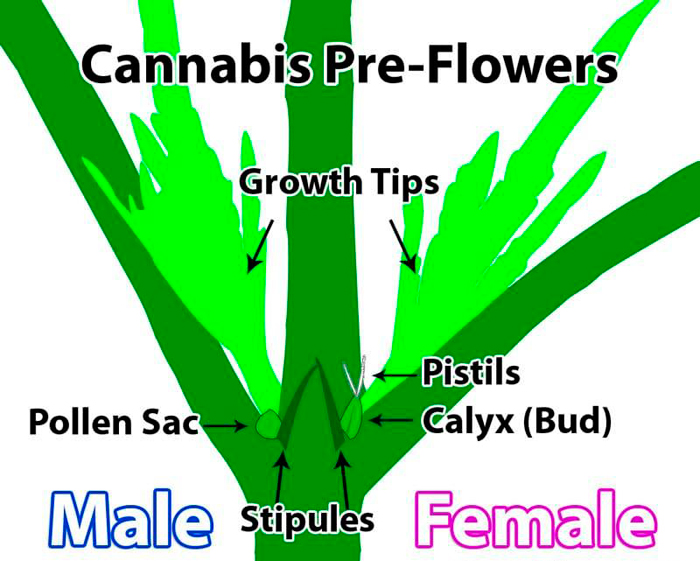 Зачем это нужно Зачем это нужно