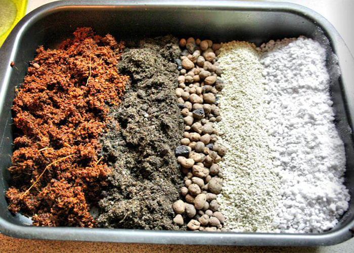 Выбор почвы под выращивание конопли Выбор почвы под выращивание конопли