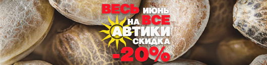 Минус 20% на все автоцветы Минус 20% на все автоцветы