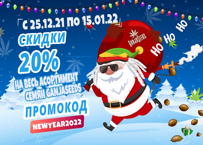 Дарим подарки от известных бридеров! Дарим подарки от известных бридеров!