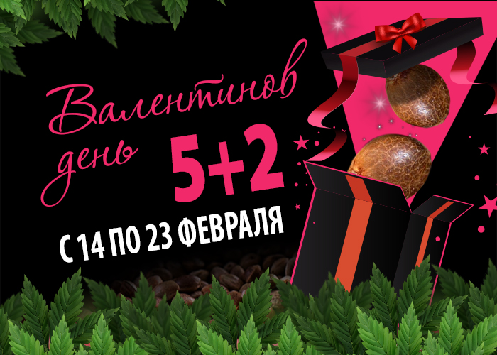 GanjaSeeds дарит всем бесплатные семена каннабиса GanjaSeeds дарит всем бесплатные семена каннабиса
