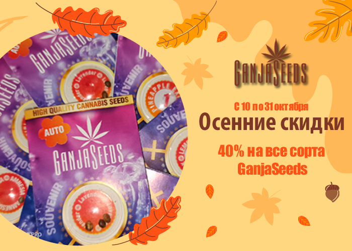 Октябрьский обвал цен с 40% скидкой от GanjaSeeds Октябрьский обвал цен с 40% скидкой от GanjaSeeds