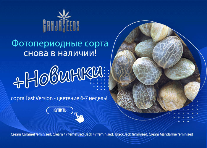 Новинки сезона! Сорта Fast Version – цветение 6-7 недель! Новинки сезона! Сорта Fast Version – цветение 6-7 недель!