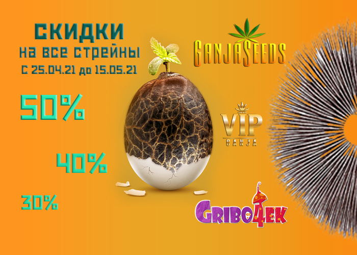 Большая пасхальная скидка от GanjaSeeds уже ваша Большая пасхальная скидка от GanjaSeeds уже ваша