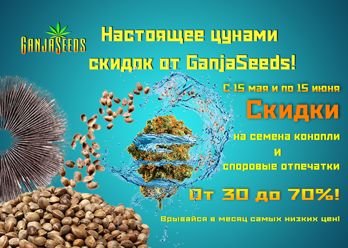 Летняя лавина скидок – до 70%! Летняя лавина скидок – до 70%!