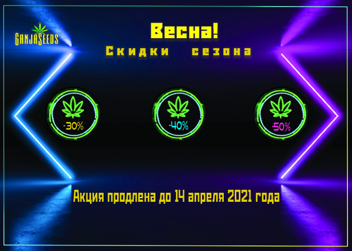 Главная акция апреля продлена! Главная акция апреля продлена!