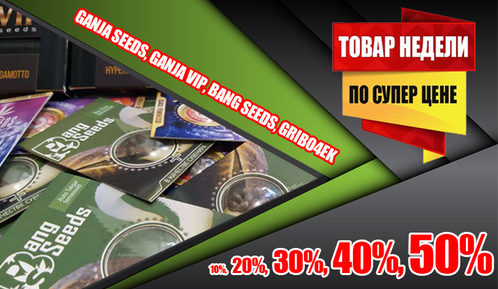 BangSeeds открывает недели скидок! BangSeeds открывает недели скидок!