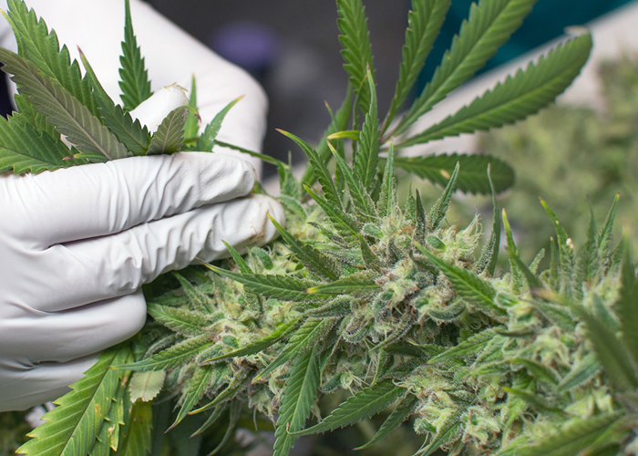 htsasdg.jpg htsasdg.jpg