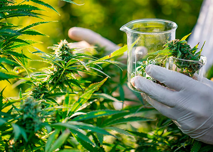 Долгосрочные проблемы Долгосрочные проблемы