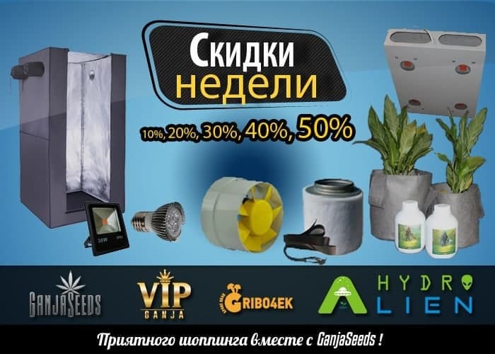 Обновление в скидках недели! Обновление в скидках недели!