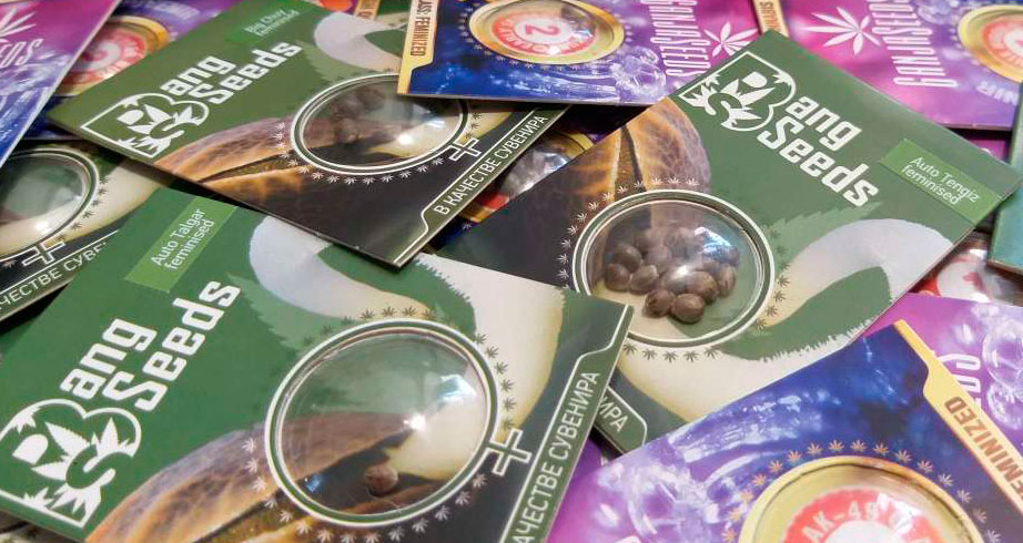 Семена конопли BangSeeds Семена конопли BangSeeds