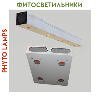 Светодиодные фитосветильники Светодиодные фитосветильники
