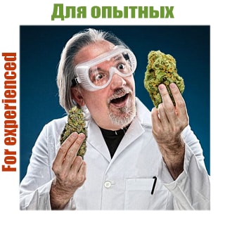 Семена конопли для опытных гроверов Семена конопли для опытных гроверов