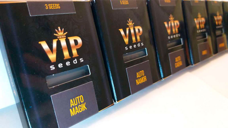 Семена конопли сидбанка GanjaVIP Семена конопли сидбанка GanjaVIP