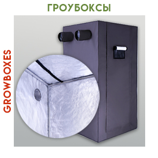 Гроубоксы Гроубоксы