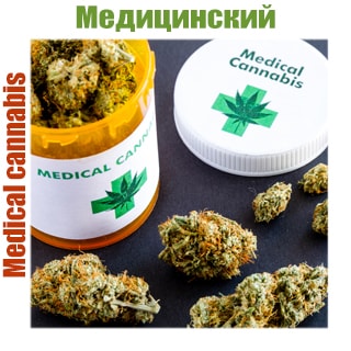 Медицинские Медицинские