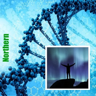 Northern Lights Northern Lights