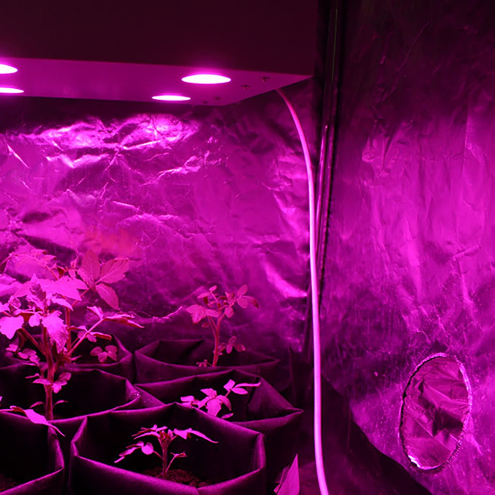 Светодиодный фитосветильник LED Гагарин 4 купить с доставкой Светодиодный фитосветильник LED Гагарин 4 купить с доставкой