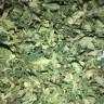 Cheese Berries feminised Ganja Seeds Cheese Berries feminised Ganja Seeds