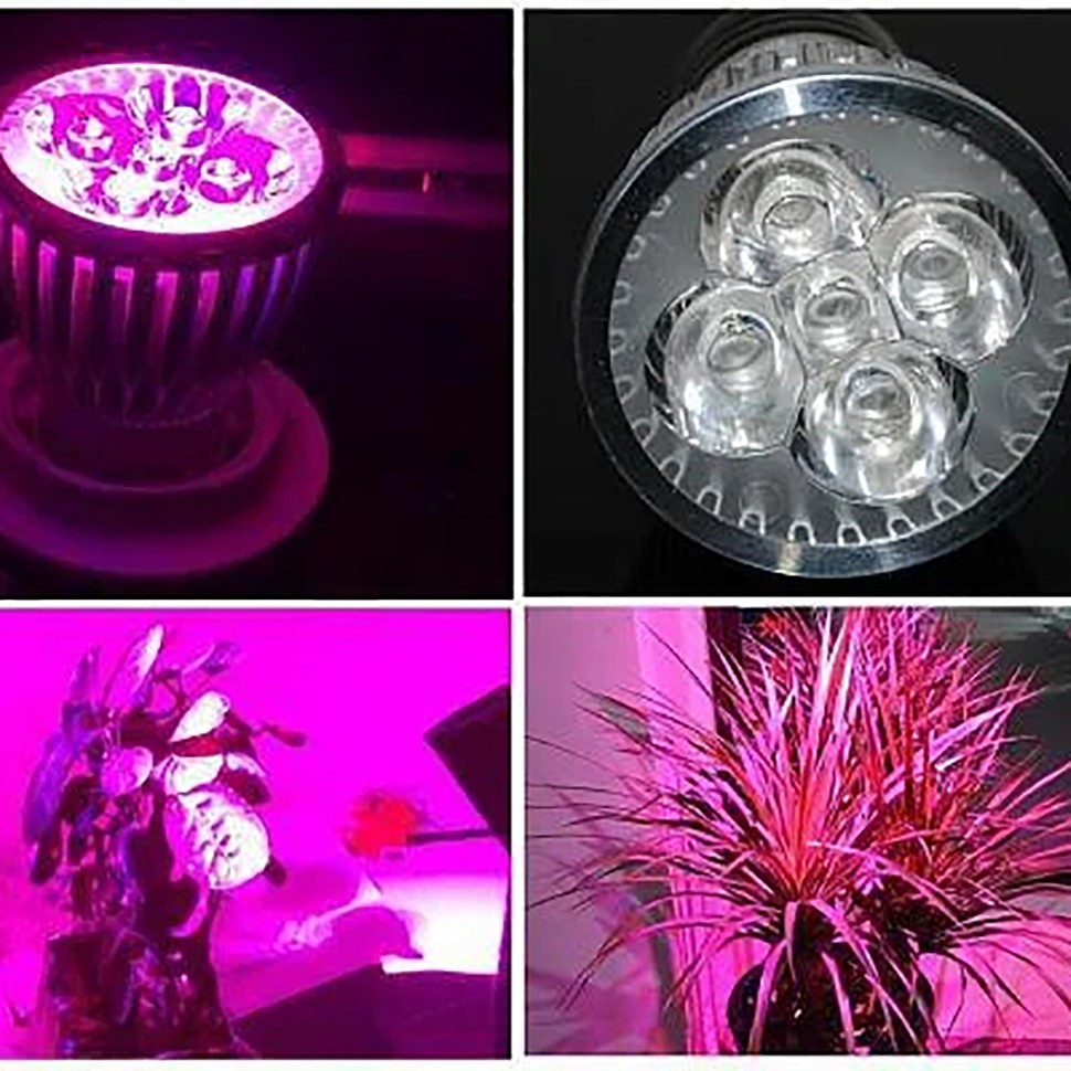 Фитолампа Green Line 10 Вт заказать по телефону Фитолампа Green Line 10 Вт заказать по телефону