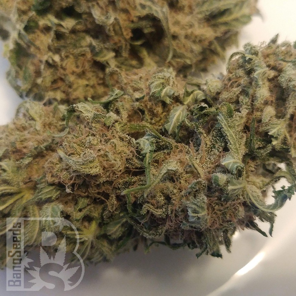 заказать семена конопли почтой Afghan feminised заказать семена конопли почтой Afghan feminised