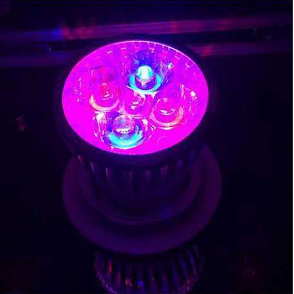 Фитолампа LED Green Line 15 Вт заказать Фитолампа LED Green Line 15 Вт заказать