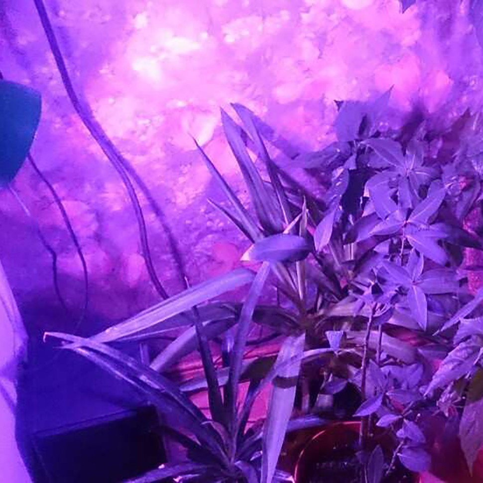 Фитолампа LED Green Line 20 Вт x2 недорого Фитолампа LED Green Line 20 Вт x2 недорого