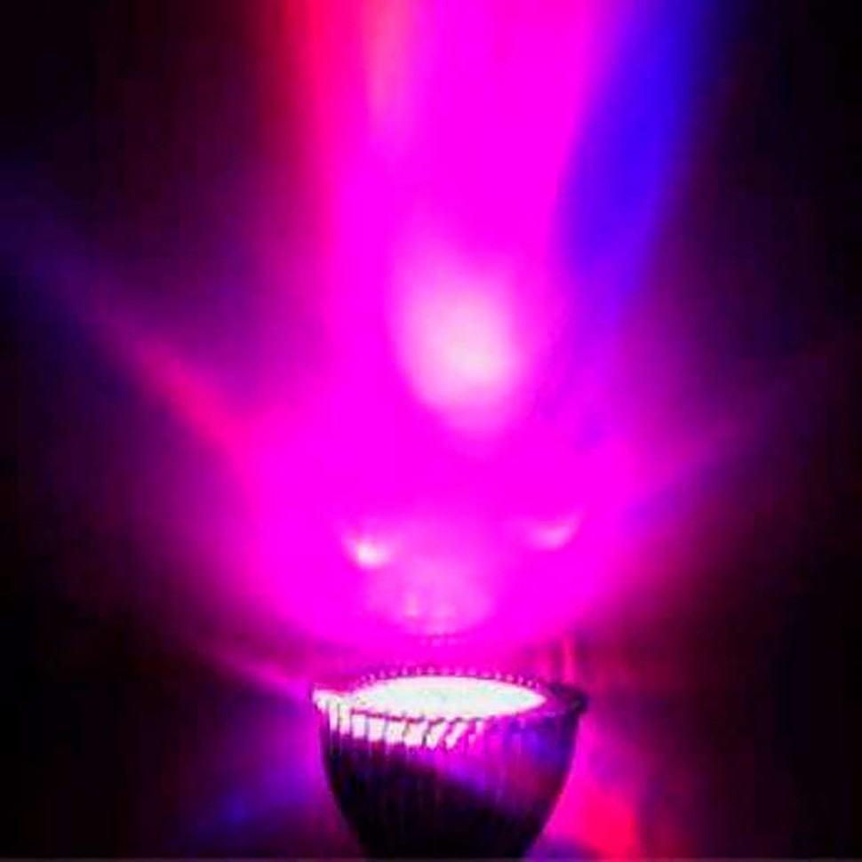 Фитолампа LED Green Line 3 Вт в интернет магазине Фитолампа LED Green Line 3 Вт в интернет магазине