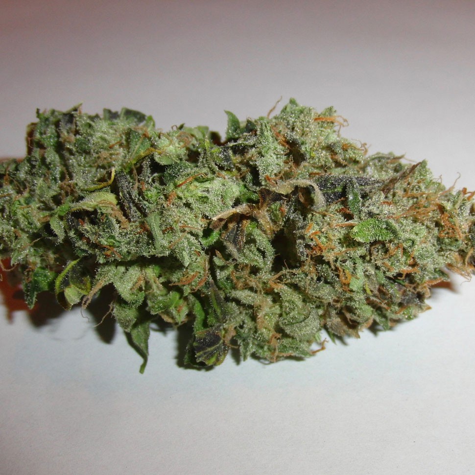 купить семена конопли для выращивания Auto Kronos feminised купить семена конопли для выращивания Auto Kronos feminised