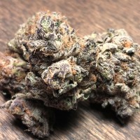 Early Skunk feminised Ganja Seeds