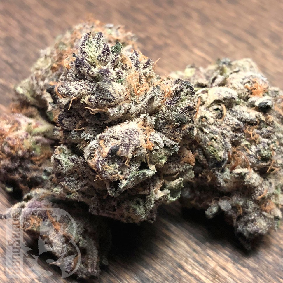 Early Skunk feminised Ganja Seeds