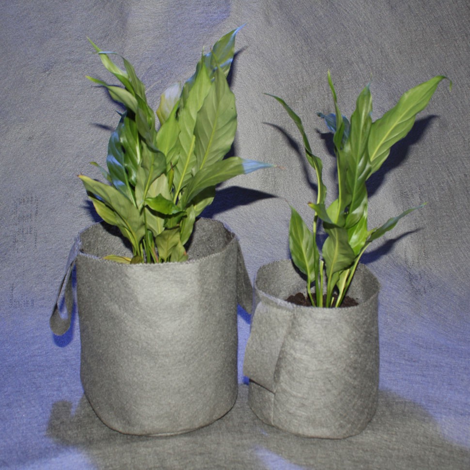 Купить тканевый горшок на 5 литров Купить тканевый горшок на 5 литров