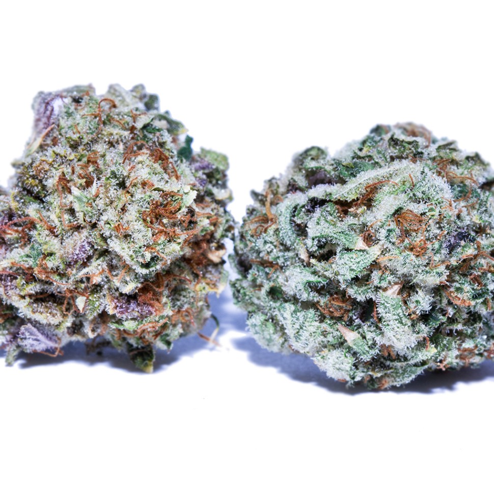 где можно заказать семена конопли Colombian Gold feminised где можно заказать семена конопли Colombian Gold feminised