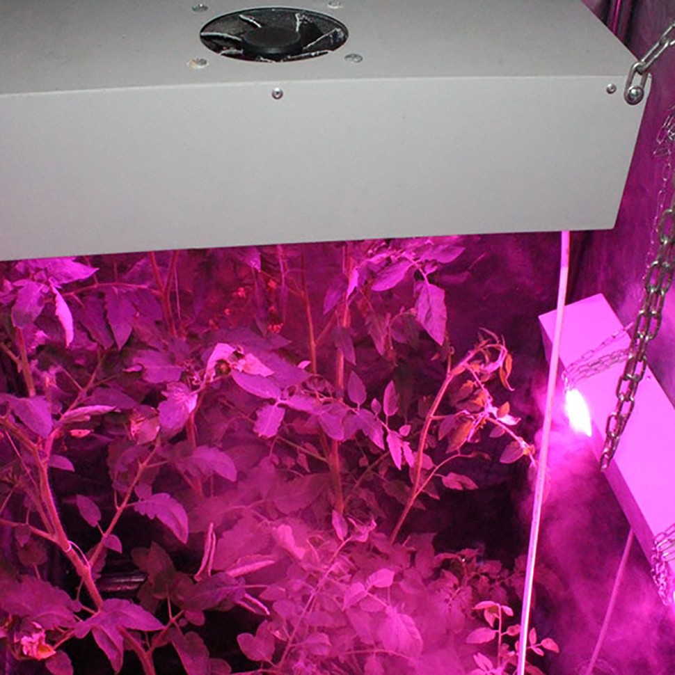 Гроубокс в сборе Джин 1200х1200х2000 + Гагарин 4 заказать Гроубокс в сборе Джин 1200х1200х2000 + Гагарин 4 заказать