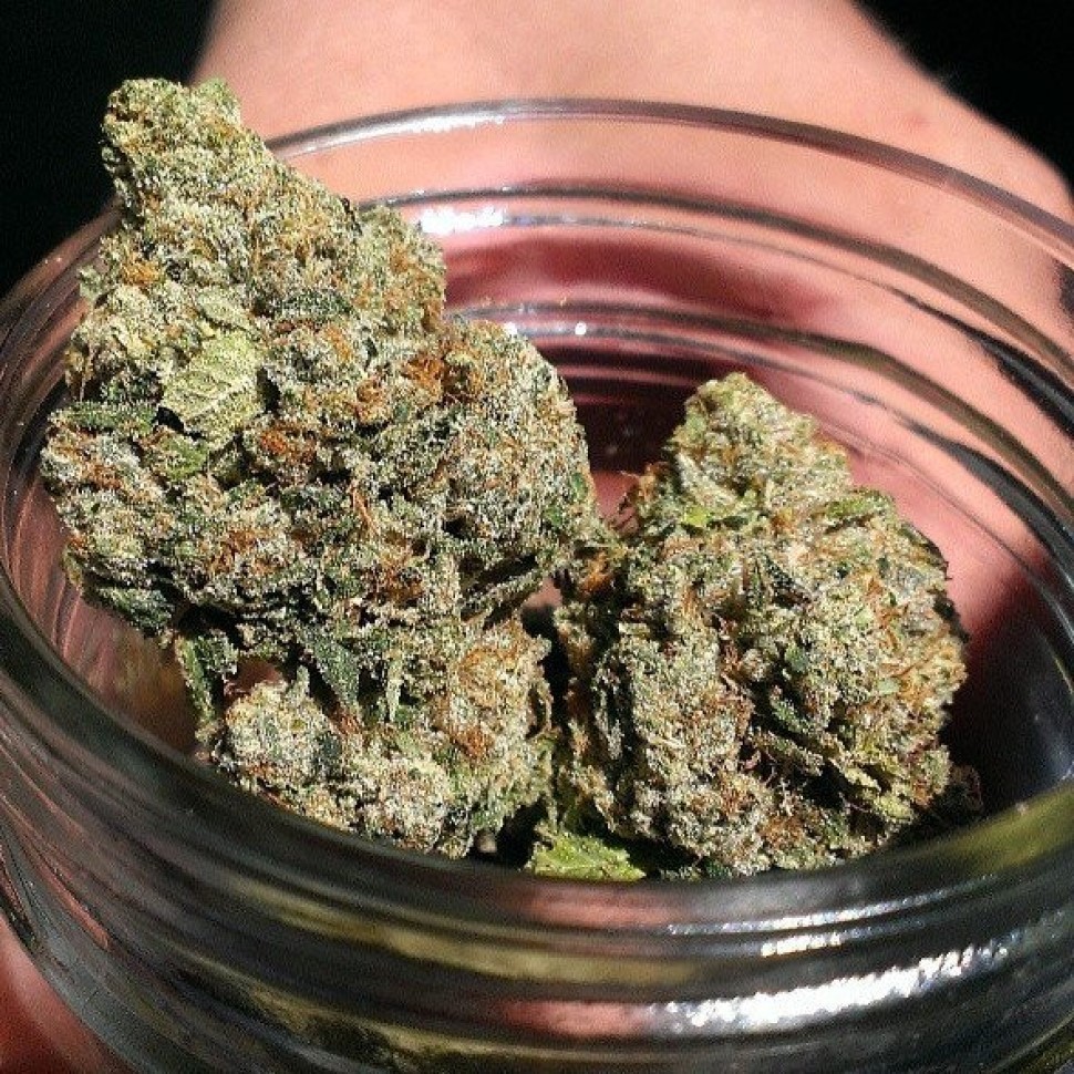 Качественные и дешевые семена Head Band feminised Ganja Seeds Качественные и дешевые семена Head Band feminised Ganja Seeds