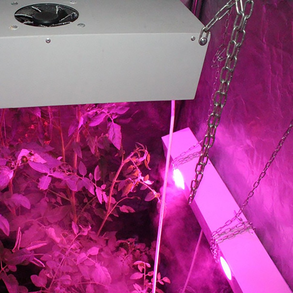 Гроубокс в сборе Джин 2000х1400х2000 + Гагарин 3 х 2 недорого Гроубокс в сборе Джин 2000х1400х2000 + Гагарин 3 х 2 недорого