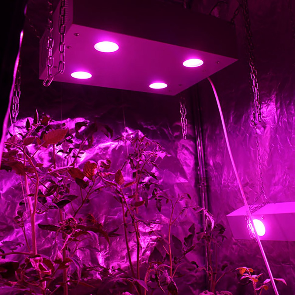 Гроубокс в сборе Джин 2900х2000х2000 + Гагарин 2 х 6 для конопли Гроубокс в сборе Джин 2900х2000х2000 + Гагарин 2 х 6 для конопли