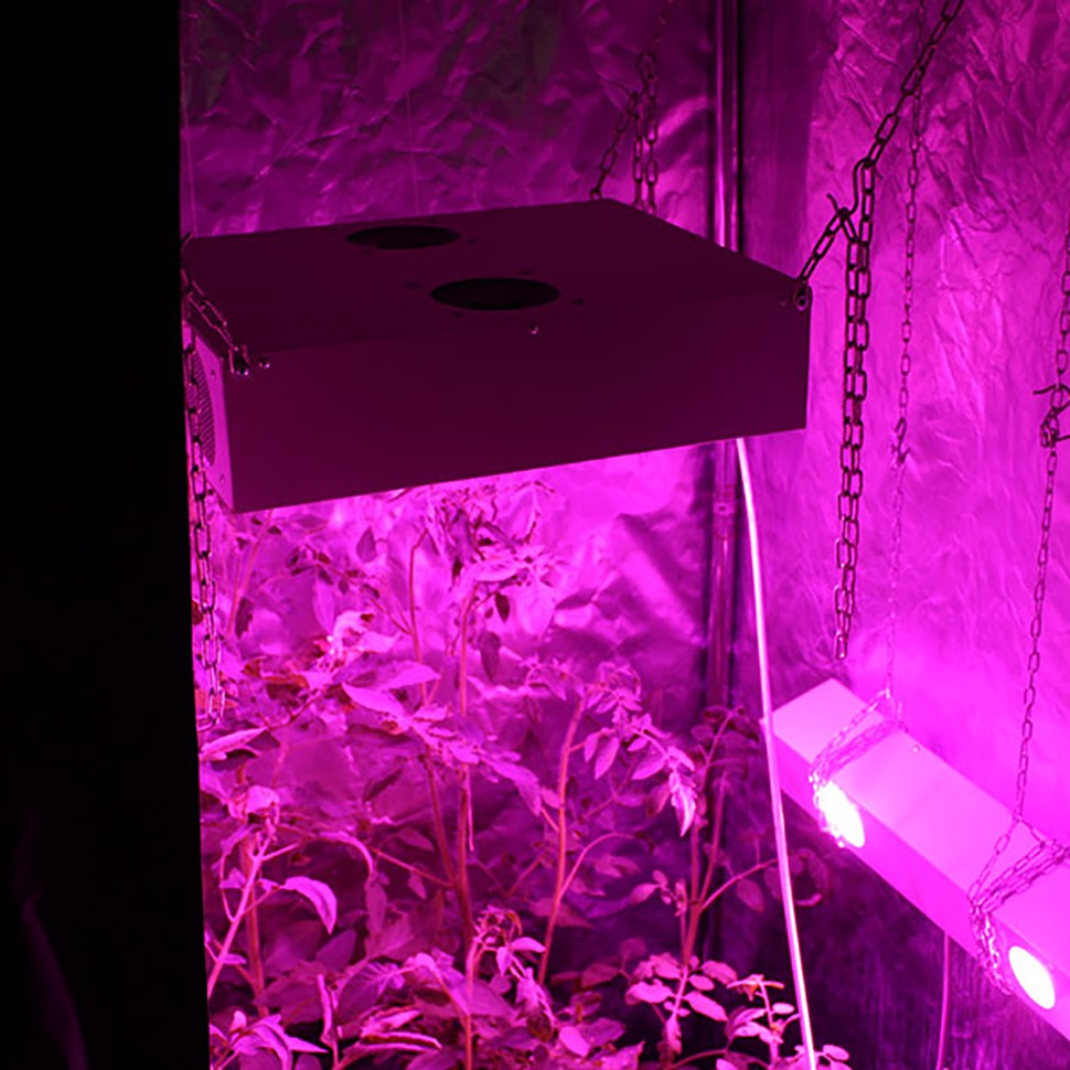 Гроубокс в сборе Джин 600х600х1400 + Гагарин 1 недорого Гроубокс в сборе Джин 600х600х1400 + Гагарин 1 недорого