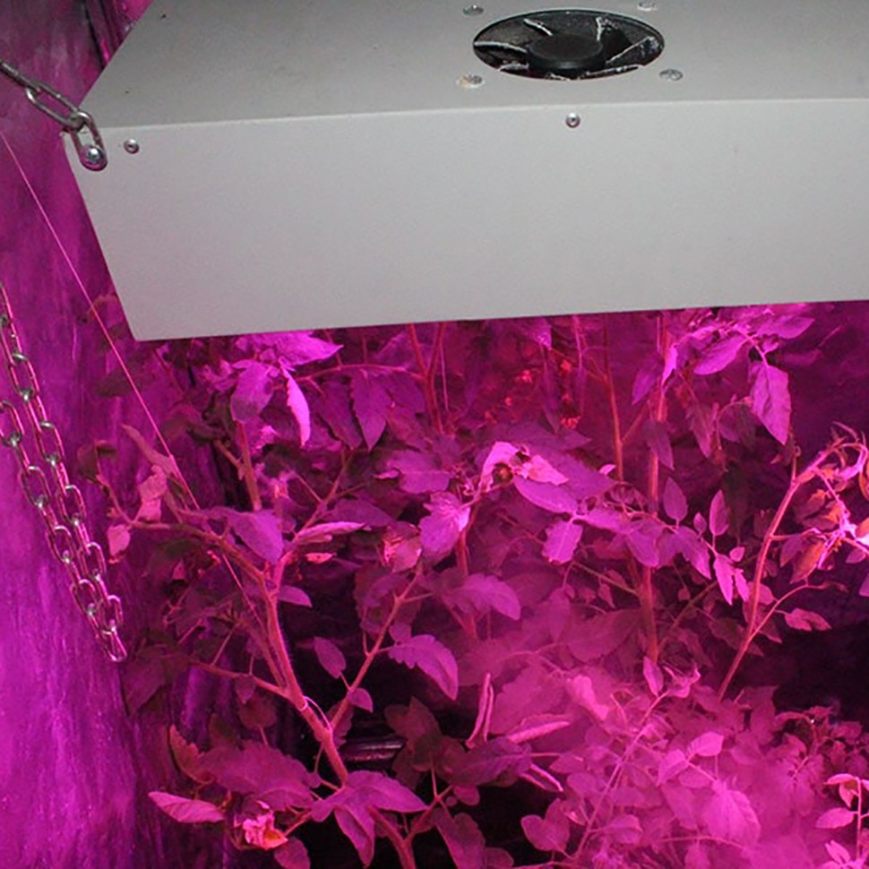 Гроубокс в сборе Джин 600х600х1400 + Гагарин 1 для марихуаны Гроубокс в сборе Джин 600х600х1400 + Гагарин 1 для марихуаны