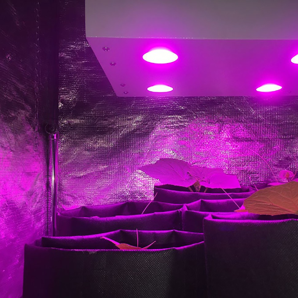 Гроубокс в сборе Джин 800х800х1600 + Гагарин 1 в магазине Гроубокс в сборе Джин 800х800х1600 + Гагарин 1 в магазине