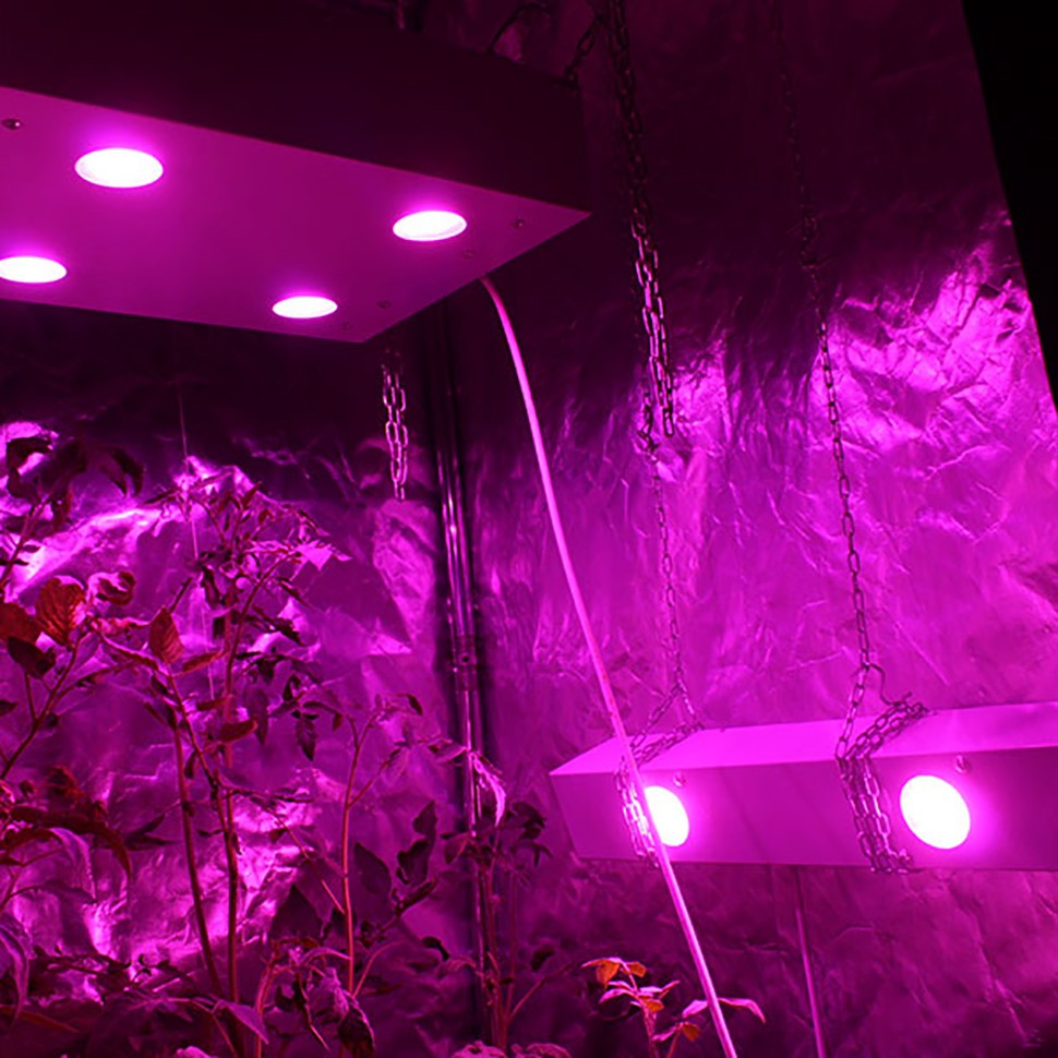 Гроубокс в сборе Джин 800х800х1600 + Гагарин 2 для выращивания марихуаны Гроубокс в сборе Джин 800х800х1600 + Гагарин 2 для выращивания марихуаны