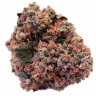 Семена марихуаны Purple OG feminised Ganja Seeds Семена марихуаны Purple OG feminised Ganja Seeds