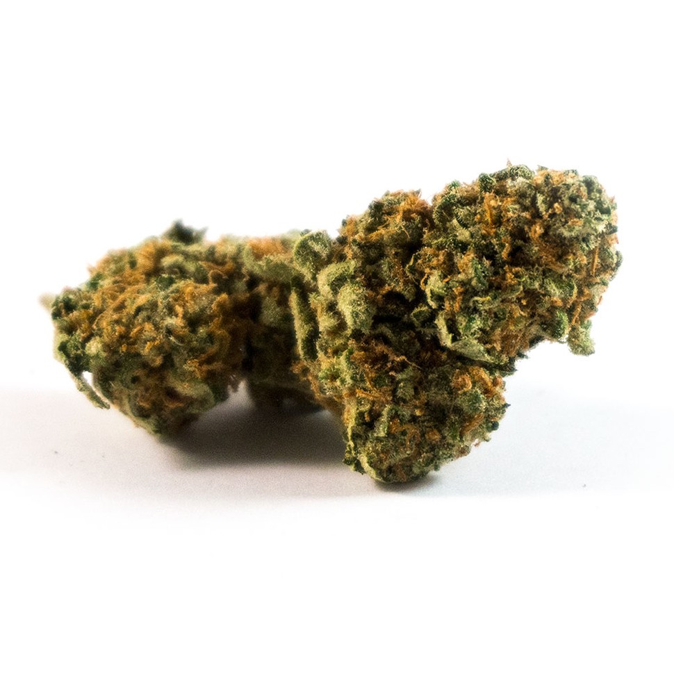 купить урожайные семена конопли Auto Sweet Mango regular купить урожайные семена конопли Auto Sweet Mango regular