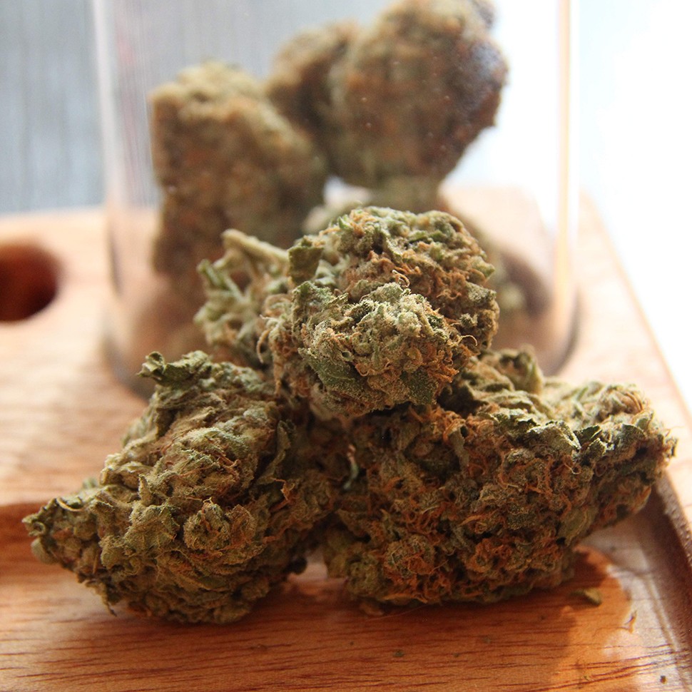 купить семена конопли Auto Critical + feminised купить семена конопли Auto Critical + feminised