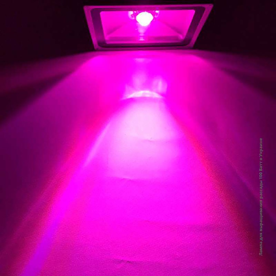 Фитопрожектор ЛЮКС 100 Вт для конопли Фитопрожектор ЛЮКС 100 Вт для конопли