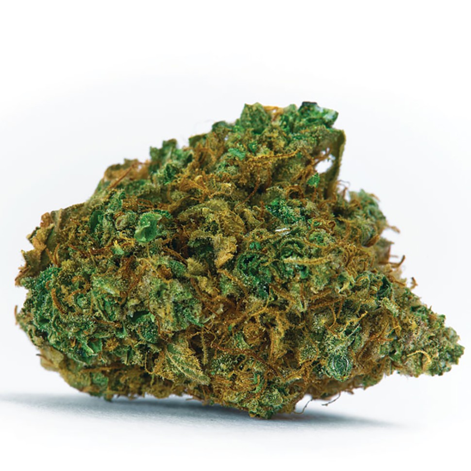 Мед сорта конопли Auto White Dwarf CBD feminised Ganja Seeds Мед сорта конопли Auto White Dwarf CBD feminised Ganja Seeds