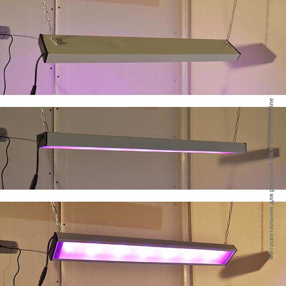 Фитосветильник Орион 44 Вт недорого Фитосветильник Орион 44 Вт недорого